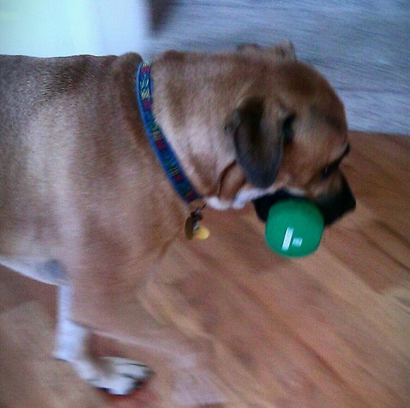 Lupe Fiasco - Picture 5 of 7